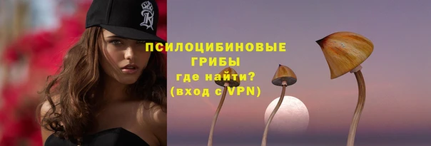 крисы Нея