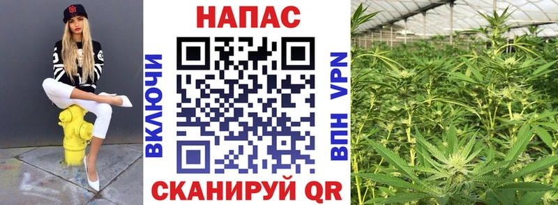 Конопля семена  Карабаш 